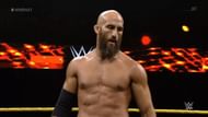 Tomasso Ciampa has Johnny Gargano to get through, but the main roster can't be far away